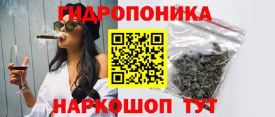 гидра Беслан