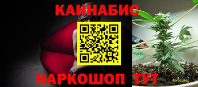 гидра Беслан