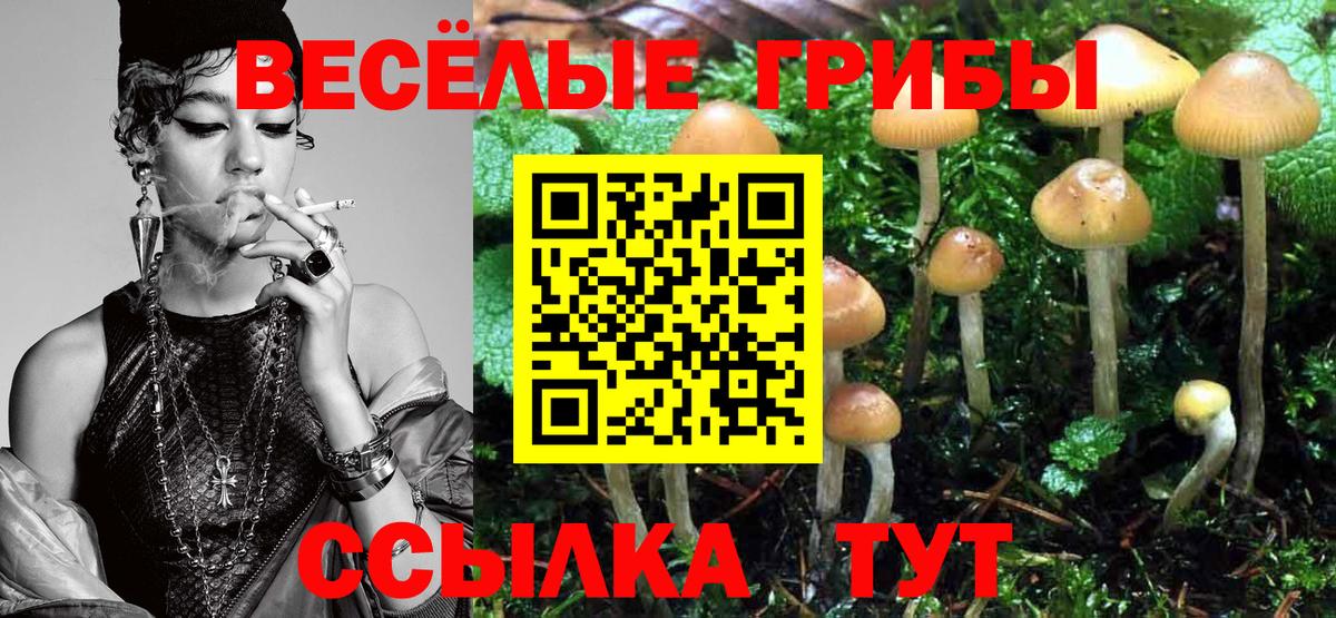 Вышний Волочёк  Галлюциногенные грибы прущие грибы  Вход с VPN 