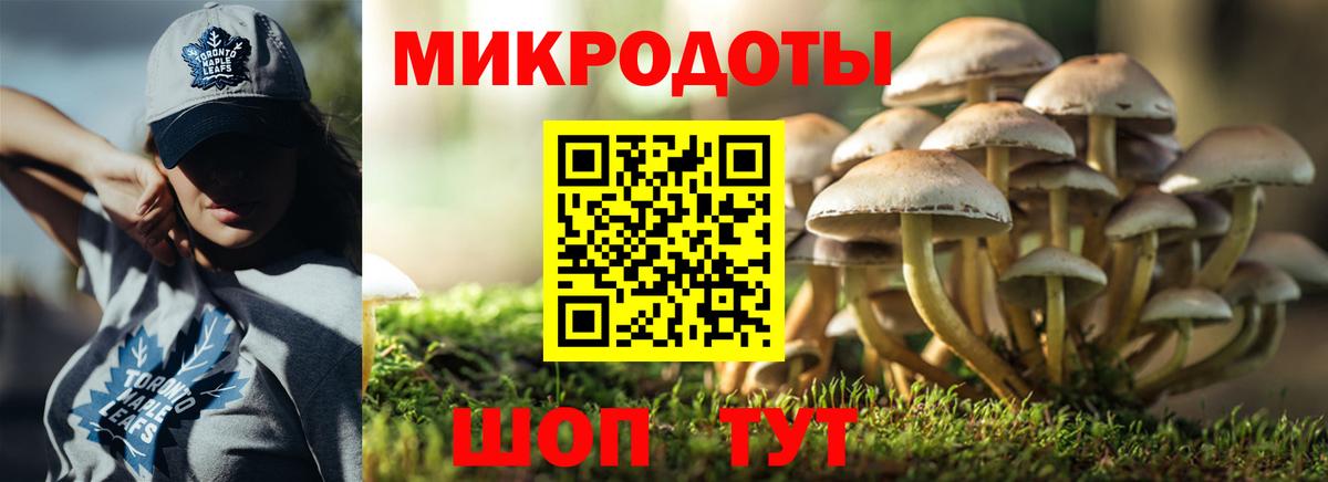 Псилоцибиновые грибы мухоморы Вышний Волочёк